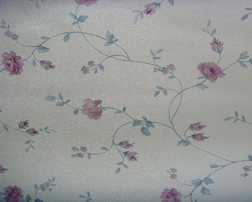 ���a����ϵ��