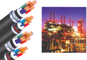 ����ϩ�^�������|